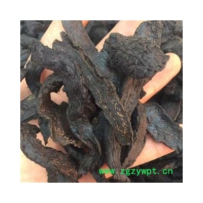 肉苁蓉 软大芸统片1.0 产地 新疆维吾尔自治区