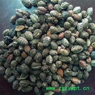 砂仁 进口砂仁米统货 产地 海外