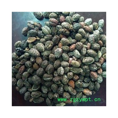 砂仁 进口砂仁米统货 产地 海外