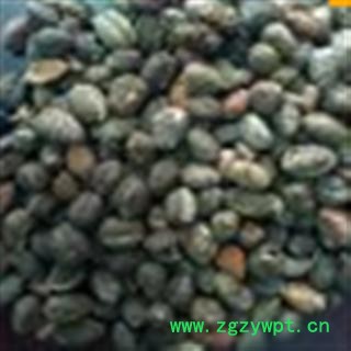 砂仁 进口砂仁米统货 产地 海外图2