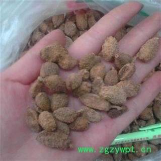 砂仁 进口壳砂仁 2020统货 产地 缅甸图3