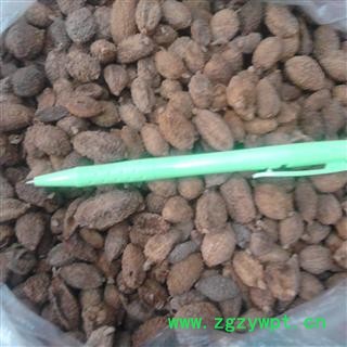 砂仁 进口壳砂仁 2020统货 产地 缅甸图2