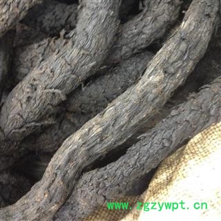 肉苁蓉 淡大云 淡水选个 新疆软质淡大芸  产地 新疆维吾尔自治区图2