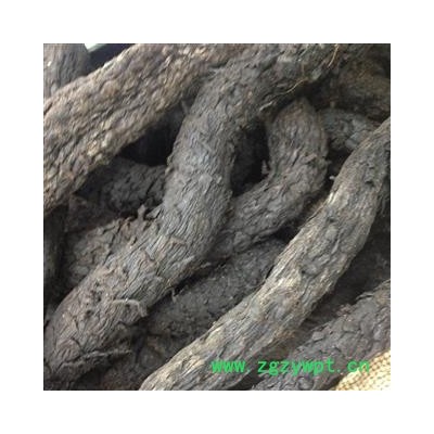 肉苁蓉 淡大云 淡水选个 新疆软质淡大芸  产地 新疆维吾尔自治区