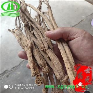 世元药业 党参大条 无硫 别称  黄参 防党参 上党参 狮头参 中灵草 黄党图2