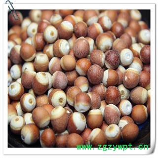 芡实 统货 产地 广东省肇庆市市辖区