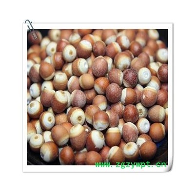 芡实 统货 产地 广东省肇庆市市辖区