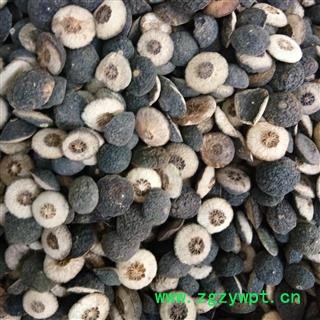 枳实 浙江对半开枳实 产地 浙江省图2