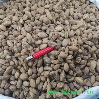 砂仁 砂仁进口统 产地 海外图2