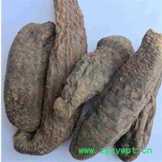 灵吉药业  肉苁蓉 硬大芸  产地直销  批发各类规格中药材 花茶 矿石  冷背野生中药材