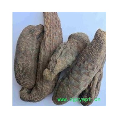 灵吉药业  肉苁蓉 硬大芸  产地直销  批发各类规格中药材 花茶 矿石  冷背野生中药材