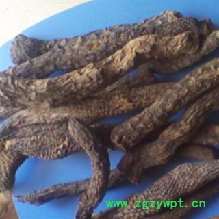 灵吉药业  肉苁蓉 硬大芸  产地直销  批发各类规格中药材 花茶 矿石  冷背野生中药材图2