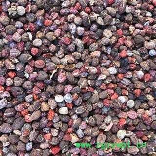 诺源药材行砂仁 进口砂仁图2