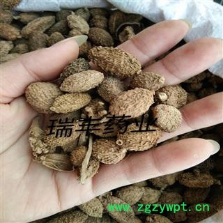 进口砂仁 统装 产地 海外