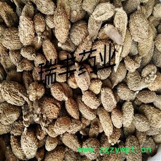 进口砂仁 统装 产地 海外图2