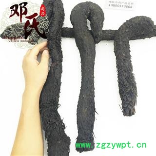 肉苁蓉 软质肉苁蓉 王 精选 产地 新疆维吾尔自治区 邓氏尚品图3