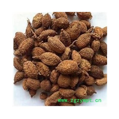 砂仁 进口壳砂仁统货 产地 海外