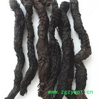 肉苁蓉 选 产地 新疆维吾尔自治区哈密地区伊吾县 库存 1000公斤可售图2