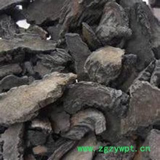 小丽百草行管花肉苁蓉硬大云 木质片 肉苁蓉