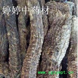 肉苁蓉 野生 软苁蓉 前期货 含量高  产地 新疆维吾尔自治区哈密地区伊吾县图2