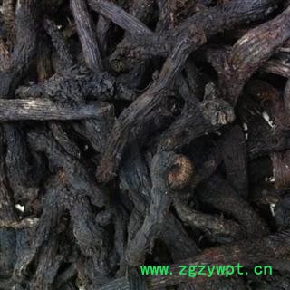 肉苁蓉 野生 软苁蓉 前期货 含量高  产地 新疆维吾尔自治区哈密地区伊吾县