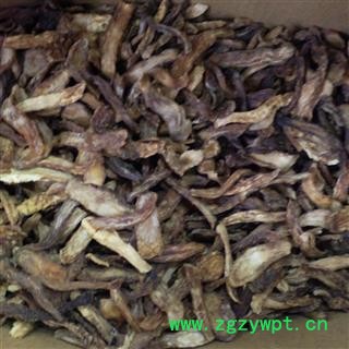 肉苁蓉 淡大芸 软质肉苁蓉  鲜切片 产地 新疆维吾尔自治区图2