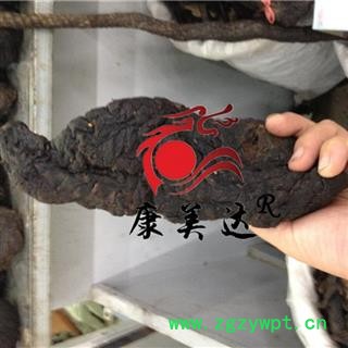 肉苁蓉 大云 大芸 选货 产地 新疆维吾尔自治区 凯捷中药图2