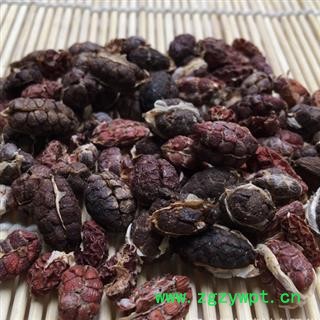 砂仁 06 砂仁米 进口 统 产地 海外图3