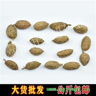 小超中药材超市 砂仁 03 砂仁圆果 统  产地 海外图2