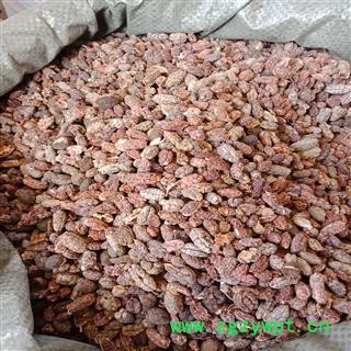 砂仁 进口砂仁 去壳砂仁正品保证质量7天无理由退货退款 安品堂图3