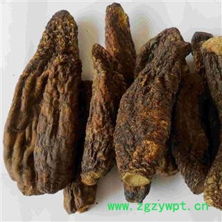 肉苁蓉 统 产地 华美中药 产地直销 重在品质图2