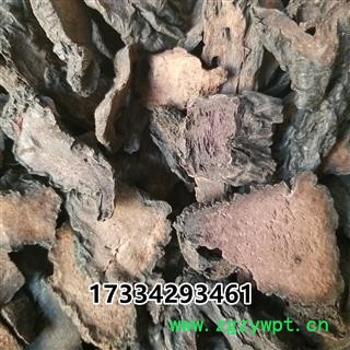 肉苁蓉硬，管花肉苁蓉大芸 大芸 大云咸大芸 沙漠人参图2