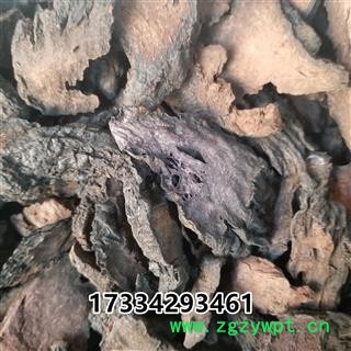 肉苁蓉硬，管花肉苁蓉大芸 大芸 大云咸大芸 沙漠人参图3