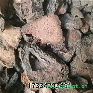 肉苁蓉硬，管花肉苁蓉大芸 大芸 大云咸大芸 沙漠人参图4