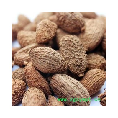 砂仁 进口壳砂仁统货 产地 海外