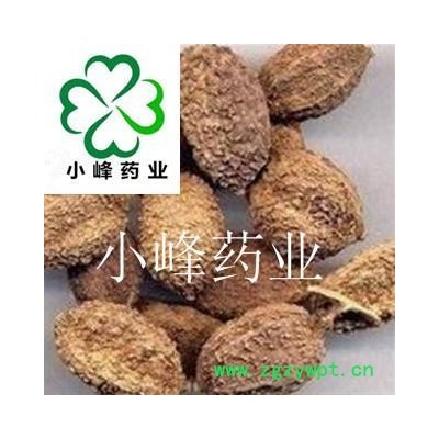 砂仁 进口壳砂仁统货 新货 药劲十足 产地 海外