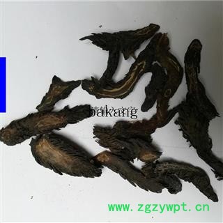 肉苁蓉 软质02统图2