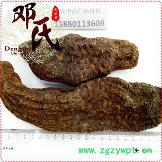 肉苁蓉 硬大芸 精选特级 优选品质 产地直供 邓氏中药批发图3