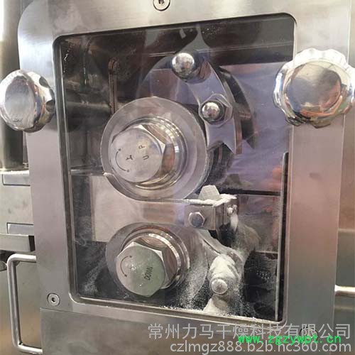 常州力马-LG200A中药配方颗粒干法制粒机、中药厂制粒机规格图3