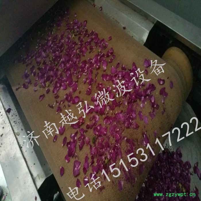 供应越弘微波中药材微波烘干灭菌机图2