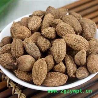 砂仁 嫁接阳春砂 正品保证质量7天无理由退货退款 安品堂图2