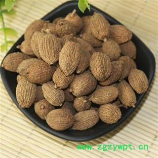 砂仁 嫁接阳春砂 正品保证质量7天无理由退货退款 安品堂图3