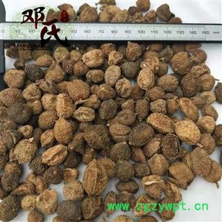 【满包邮】砂仁 阳春砂仁（ 绿砂仁 ）选货 优选品质 产地直供 邓氏中药材批发图2