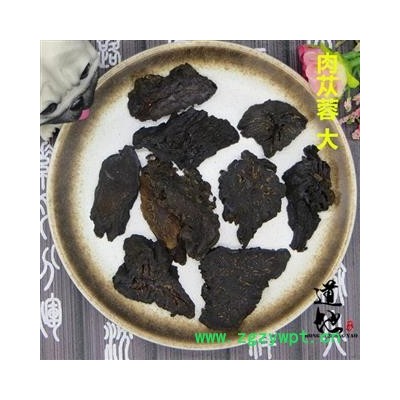 肉苁蓉 选片 产地 内蒙古自治区 精品中药材 品种齐全