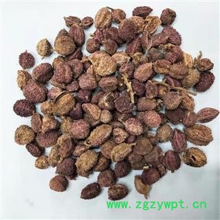 【活动价】阳春砂仁 （1kg）广东产 正品阳春砂【良心经营 品种齐全】图2