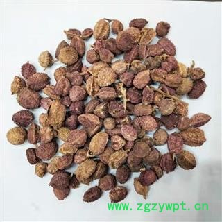 【活动价】阳春砂仁 （1kg）广东产 正品阳春砂【良心经营 品种齐全】图3