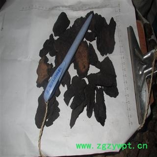 肉苁蓉片 大芸片 统 新疆硬质 产地 新疆 德誉堂药业批发各种中药材图2