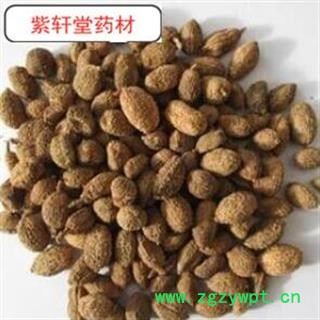 砂仁 精品进口砂仁,砂仁,产地直销!图2