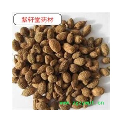 砂仁  精品进口砂仁，砂仁，产地直销！