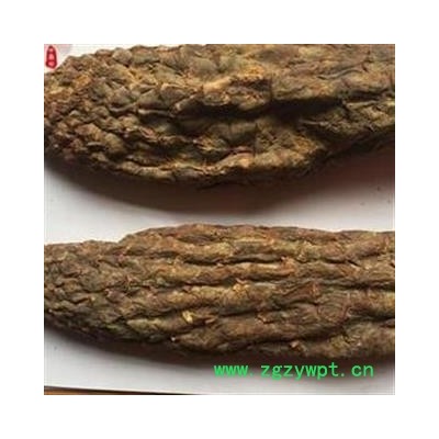 肉苁蓉 硬大芸 好统货 纯干货产地 新疆维吾尔自治区